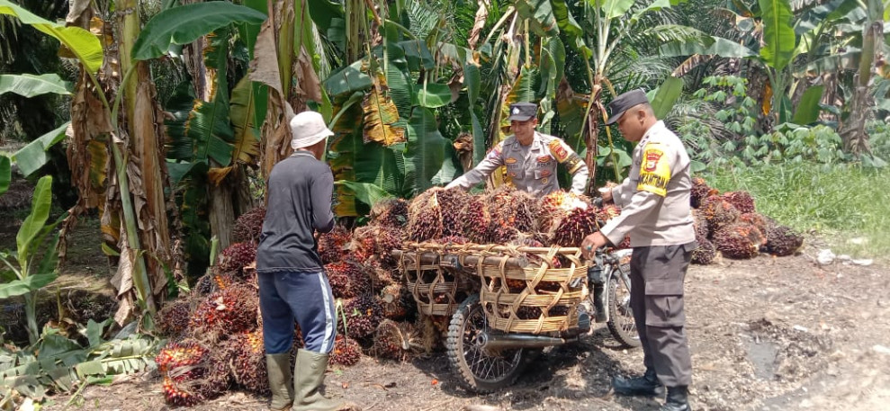 Polisi Ciptakan Kenyamanan Bagi Pekerja Kebun Melalui Program Cooling System Jelang Pilkada 2024