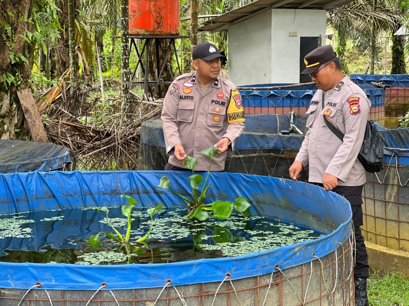 Polsek Lirik Cek Budidaya Ikan Nila dan Lele Binaan BUMDes Rejosari