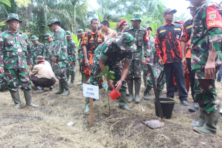 Hijaukan Inhil, Pasukan Loreng Tanam Ribuan Pohon