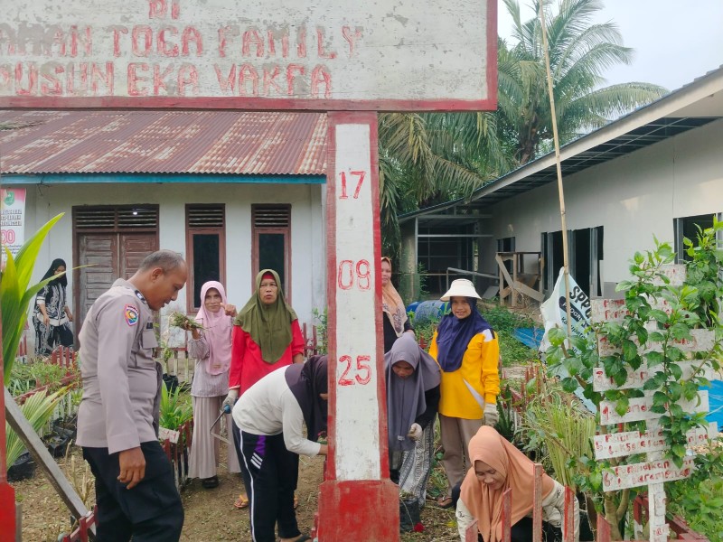 Polsek Kuala Cenaku Pantau Pekarangan Pangan Bergizi, Sulap Lahan Posyandu Jadi Kebun TOGA