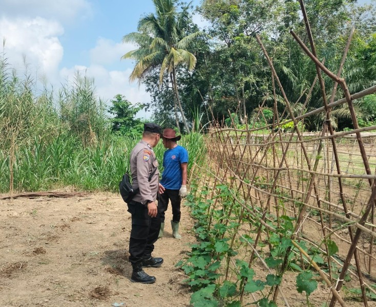 Polres Inhu Gencar Dorong Ketahanan Pangan Lewat Lahan Pekarangan