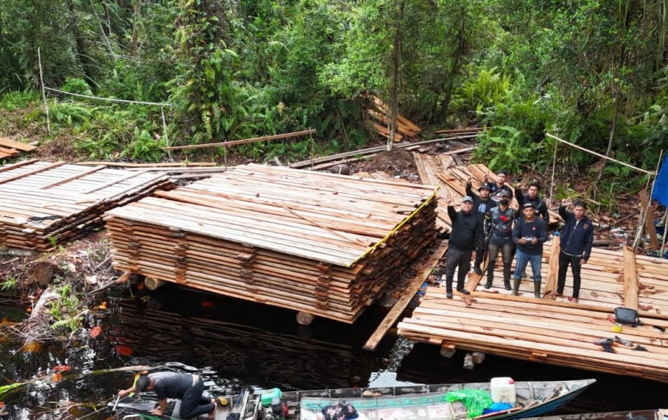 Temuan 300 Kubik Kayu di Inhu, KLH: Kerusakan Lingkungan Parah