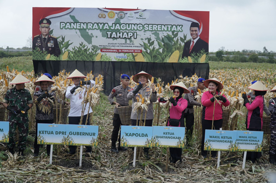 Polda Riau Panen Jagung 156,6 Ton