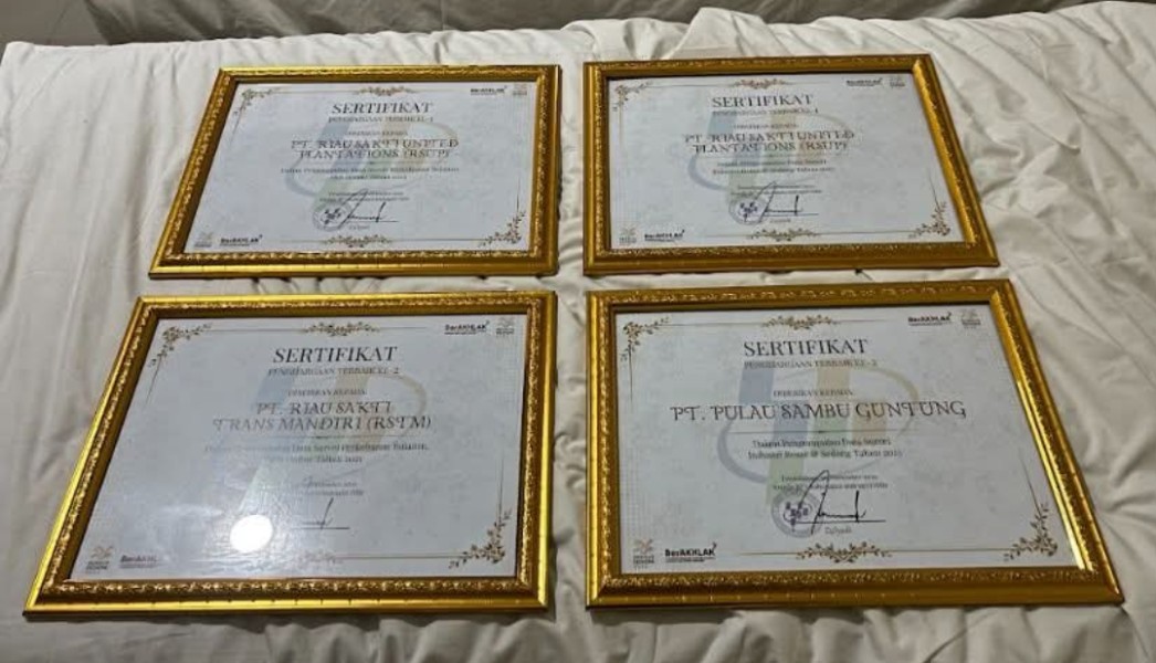 ‎Sambu Group Raih Penghargaan dari BPS Inhil atas Kepatuhan Pelaporan Data