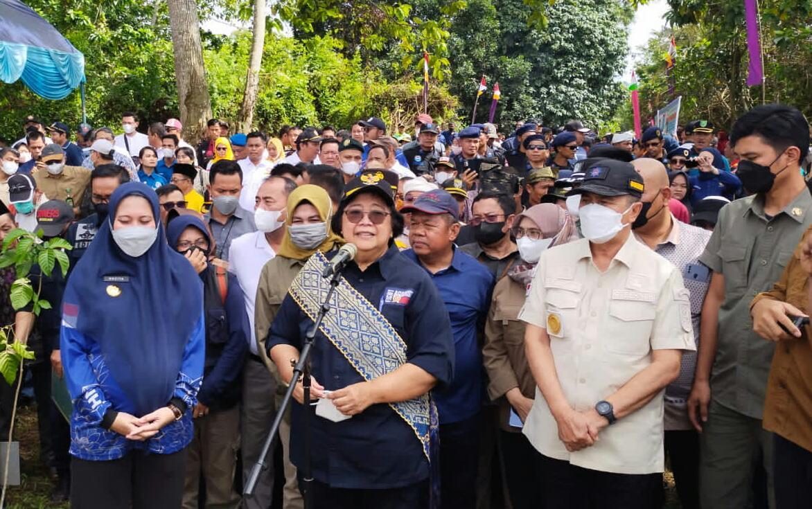 Kunjungi Inhu, Menteri LHK Siti Nurbaya Ajak Budayakan Tanam Pohon