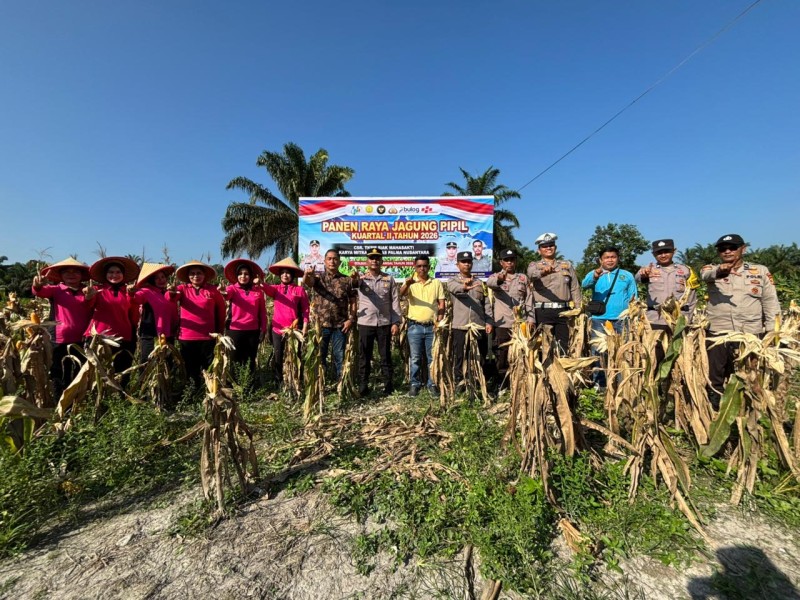 Polres Inhu Panen Raya Jagung Pipil dan Cek Lahan Baru di Batang Gansal