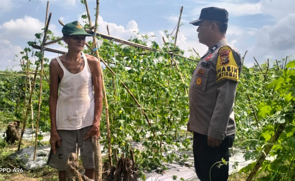 Polsek Kuala Cenaku Dorong Petani Pare di Pulau Gelang Tanam Jagung Pipil