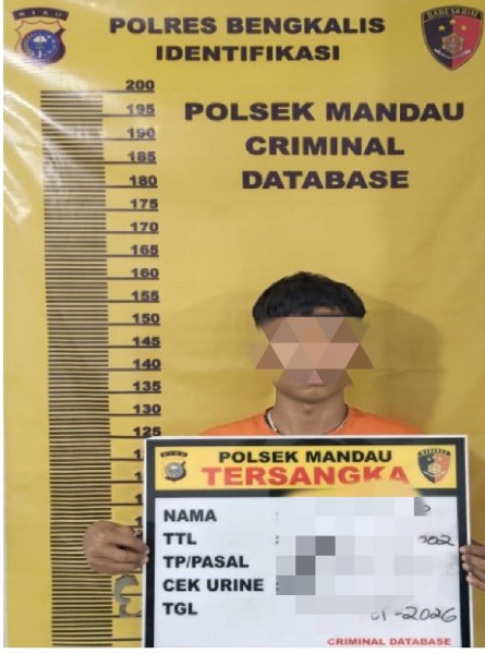 Modus Jasa Pengecatan dan Pemasangan Asesoris, Pria di Mandau Dibekuk Polsek Mandau Dugaan Tindak Pidana Penggelapan Sepeda Motor