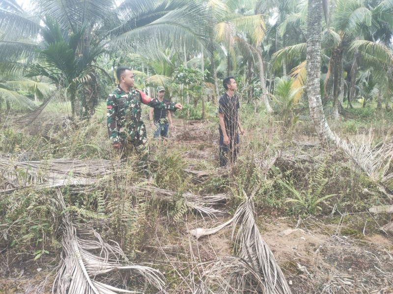 Antisipasi Karhutla, Babinsa Pratu Abdul Fikri Laksanakan Patroli Tapal Batas