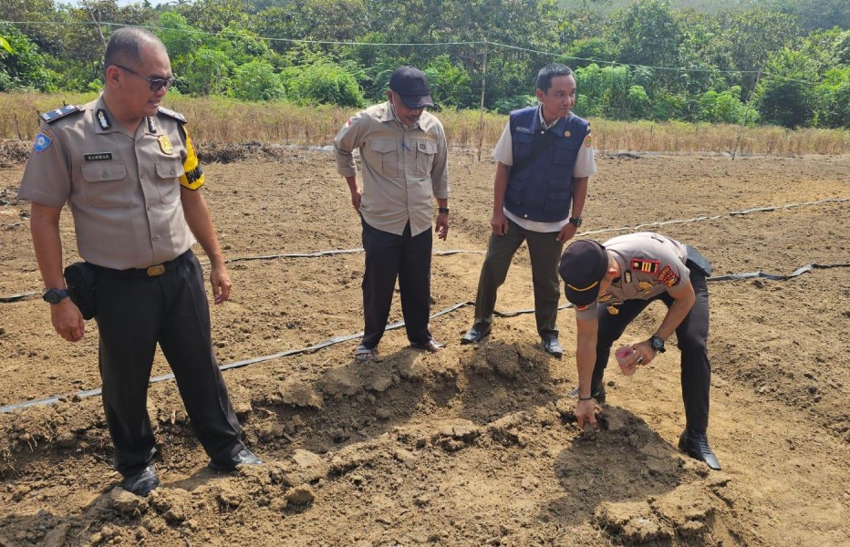 Polsek Lirik Wujudkan Asta Cita Lewat Tanam Jagung Pipil di Desa Pasir Ringgit