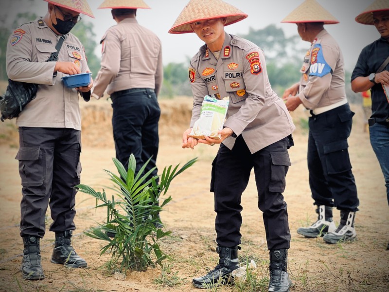 Dukung Ketahanan Pangan Nasional, Polsek Lirik Tanam Jagung Pipil Kuartal III di Desa Seko Lubuk Tigo