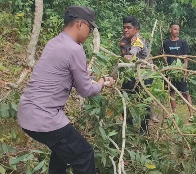 Sinergi Polisi dan Warga: Akses Jalan Pulau Lipan Dibersihkan dari Pohon Tumbang.