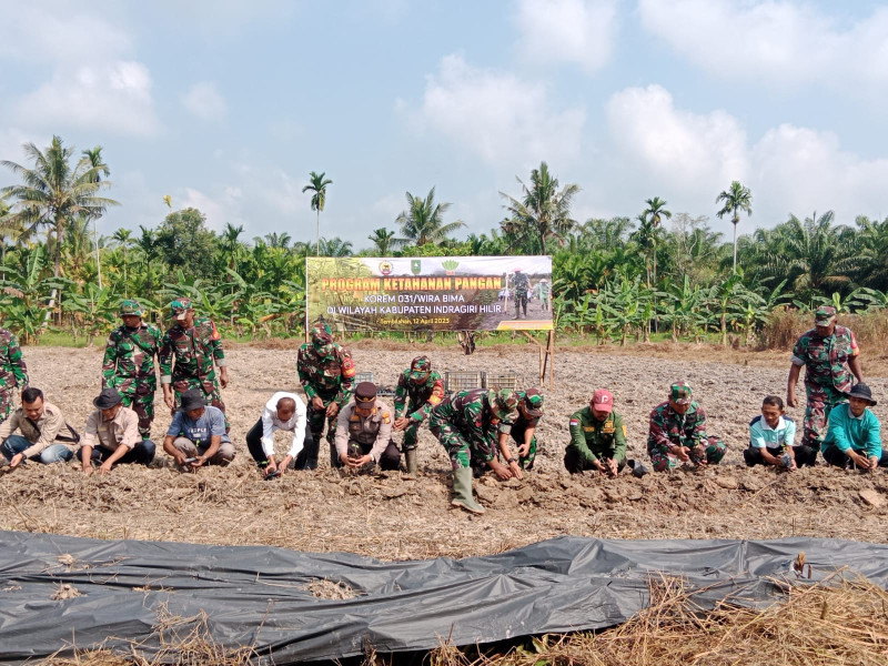 Kodim 0314/ Inhil Lounching Penanaman Budidaya Labu Madu