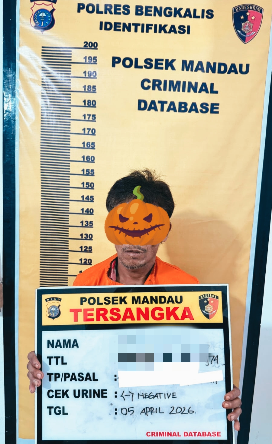 Tindak Tegas Setiap Pelaku Kejahatan Terhadap Anak Dibawah Umur, Polsek Mandau Bekuk Pria Paruh Baya  di Desa Pamesi