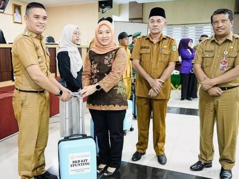 TP Posyandu Inhu Gelar Rakerda dan Sosialisasi 6 SPM Posyandu