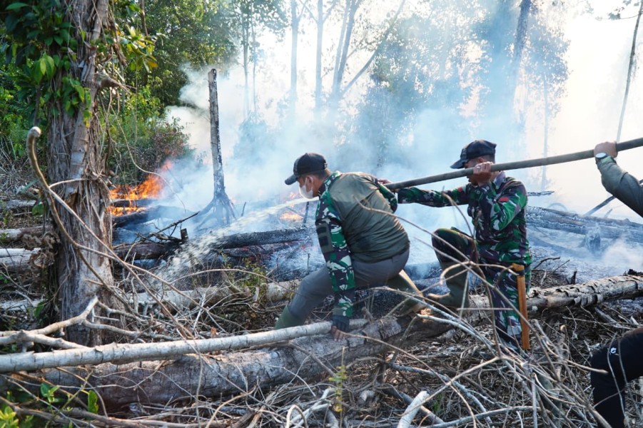 Dandim 0314/Inhil Turun Langsung Padamkan Karhutla di Desa Simpang Gaung