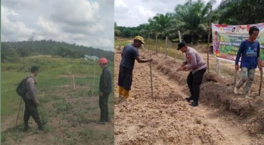 Polisi Cinta Petani, Polres Inhu Cek Lahan Jagung Pipil di Rengat Barat dan Peranap