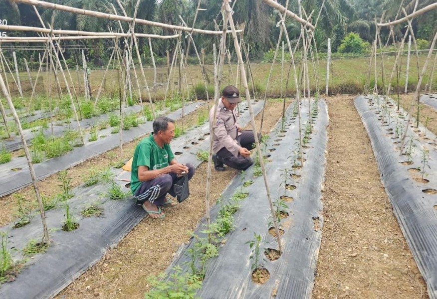 Bhabinkamtibmas Polsek Kuala Cenaku Edukasi Diversifikasi Pangan di Teluk Sungkai