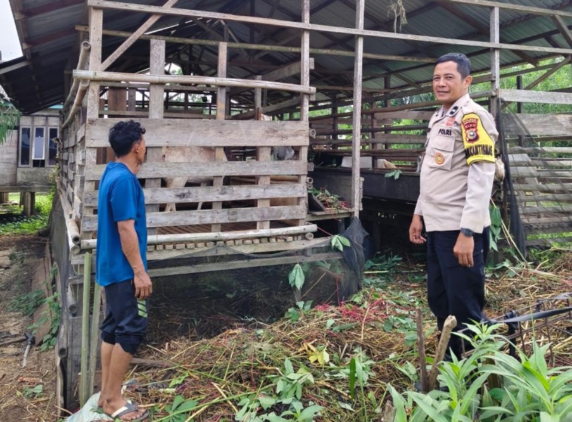 Sambangi Peternak Kambing, Polsek Kuala Cenaku Juga Ingatkan Warga Rawa Asri Stop Bakar Lahan