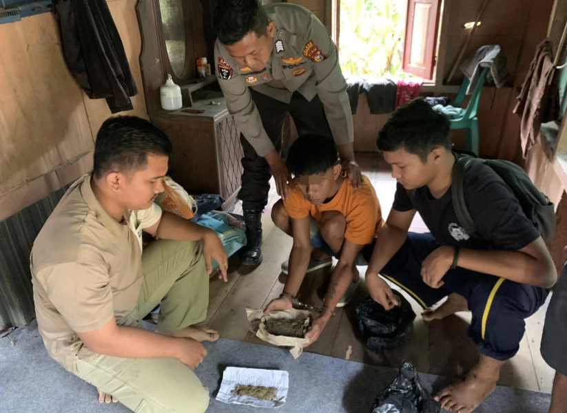 Sempat Lakukan Perlawanan, Bandar Ganja di Rakit Kulim Akhirnya Berhasil Dilumpuhkan Polisi