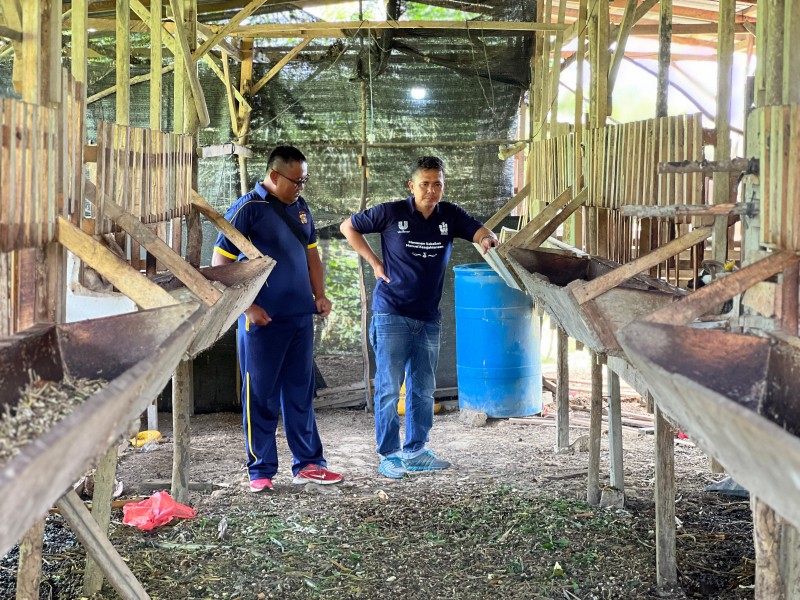 Perkuat Ketahanan Pangan di Inhu, Polsek Lirik Monitoring Peternak Domba di Desa Seko Lubuk Tigo