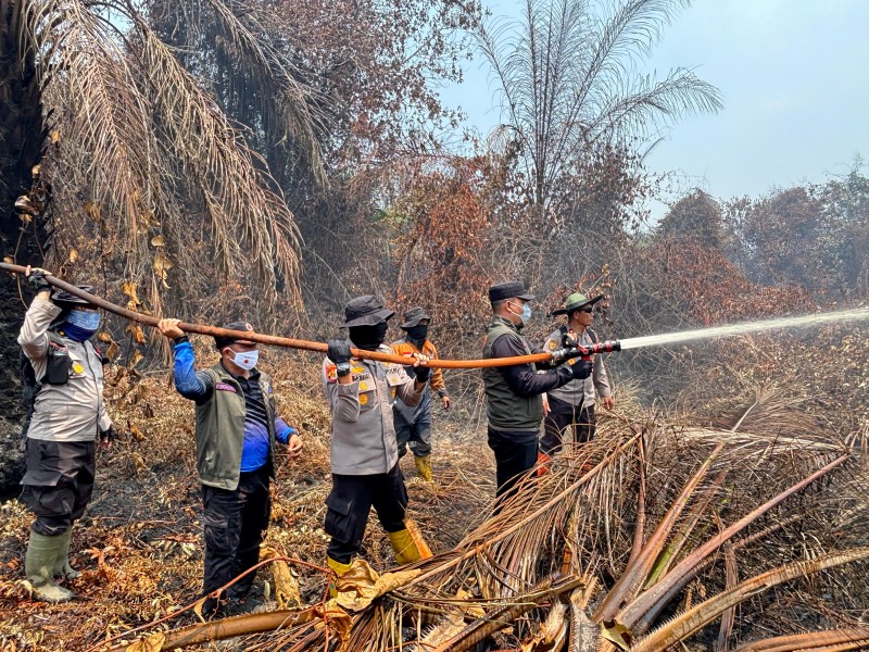 Terjun Langsung Padamkan Karhutla di Sungai Guntung Hilir, Bupati dan Kapolres Inhu Apresiasi Perjuangan Tim Gabungkan
