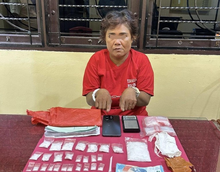 Diduga Bandar Sabu dan Ekstasi, Sorang Ibu Rumah Tangga di Lirik Inhu Diamankan Polisi