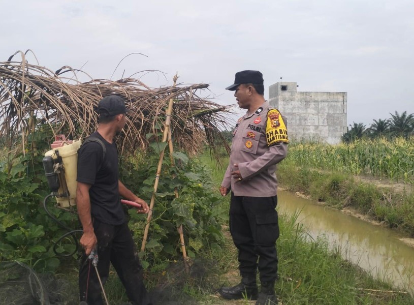 Polsek Kuala Cenaku Wujudkan Ketahanan Pangan dari Pekarangan Rumah Warga