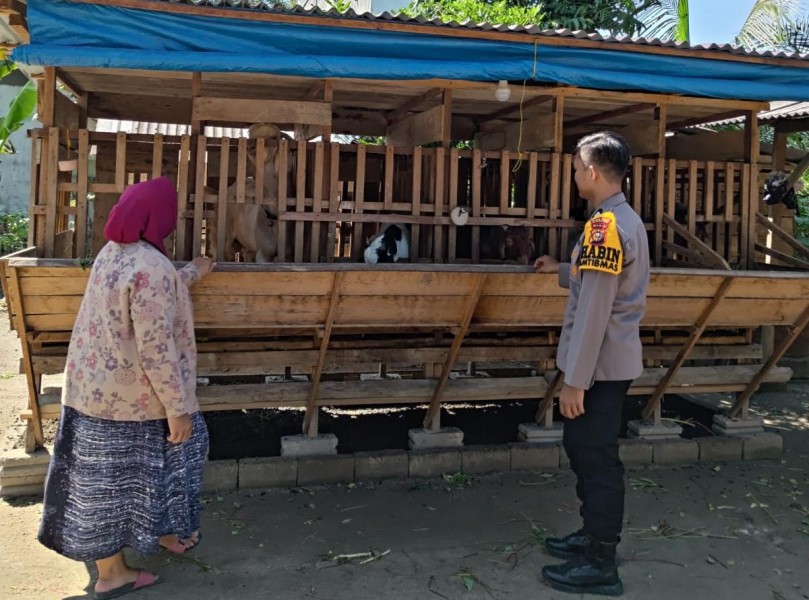 Bhabinkamtibmas Polres Inhu Imbau Peternak Gunakan Manajemen Modern untuk Ketahanan Pangan