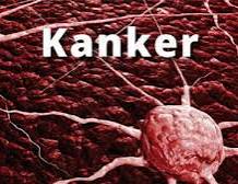 Dinkes Inhil Ajak Masyarakat Waspadai 8 Faktor Pemicu Kanker