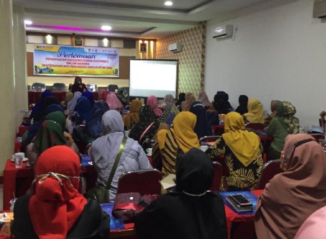 Dinkes Inhil Gelar Peningkatan Kapasitas untuk Kader Posyandu
