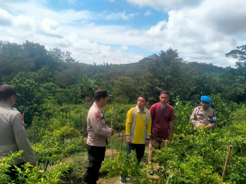 Polsek Pangkalan Kuras Tinjau Program Ketahanan Pangan di Desa Kemang