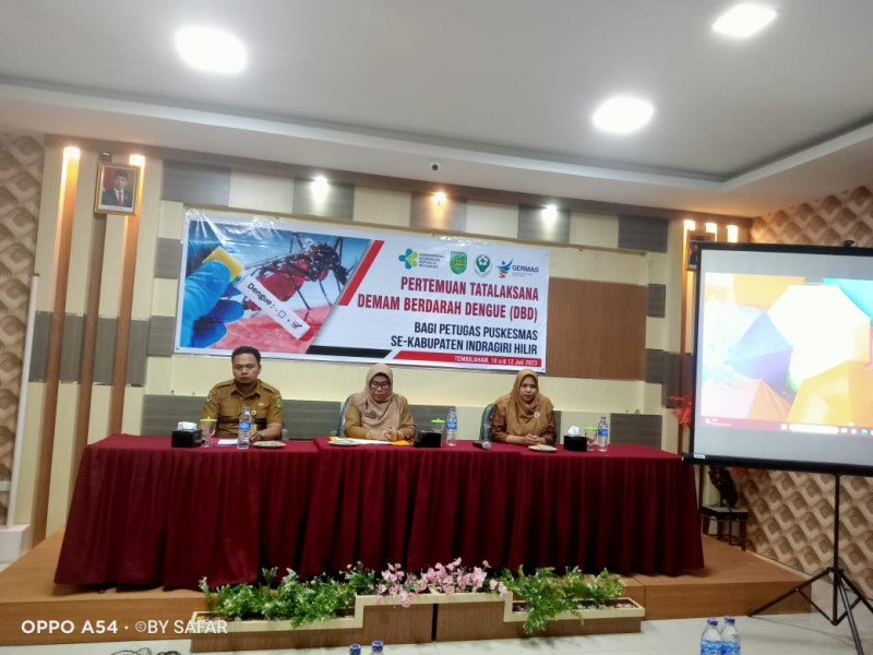 Dinkes Laksanakan Pertemuan Tatalaksana DBD Bagi Petugas Puskesmas Se-Kabupaten Inhil