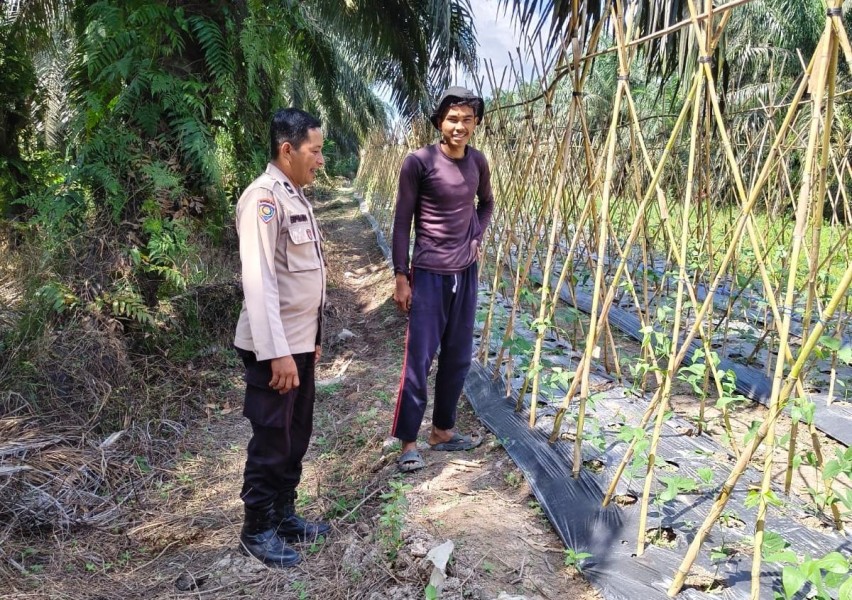 Polsek Kuala Cenaku Sambangi Petani Kacang Panjang di Rawa Asri, Serap Aspirasi hingga Ingatkan Larangan Karhutla
