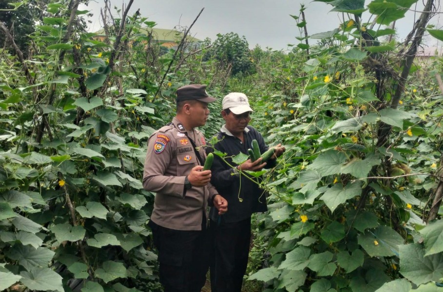 Polres Inhu Dorong Kemandirian Pangan Warga Lewat Tanam Sayur dan Budidaya Ikan