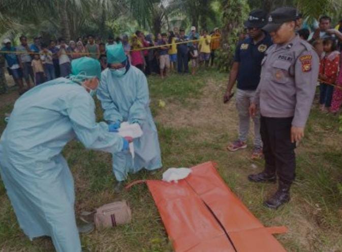 Heboh!!! Warga Desa Pematang Obo Temukan Tulang Belulang Manusia di Kebun Sawit