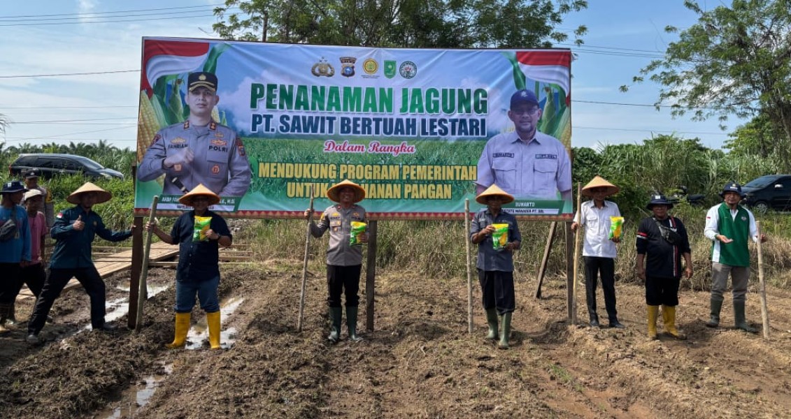 Polsek Kuala Cenaku Bersama PT SBL Tanam Jagung Pipil di Desa Pulau Gelang