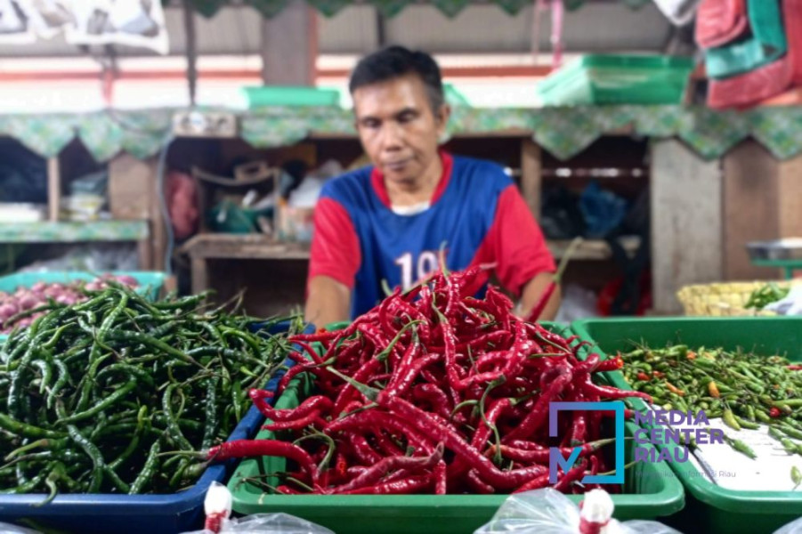 Ekonomi Riau 2025 Diprediksi Tumbuh Lebih Tinggi dan Inflasi Stabil