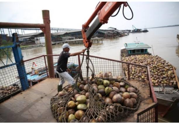 Sambu Group Tetap Beroperasi dan Cari Solusi, Di Tengah Ketidakpastian Pasokan Kelapa