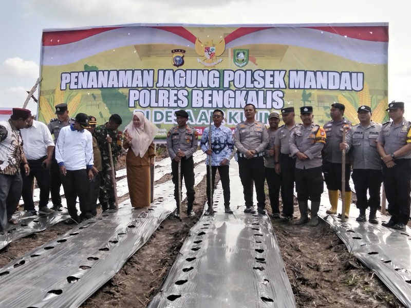 Pj Kades Suryati, Melaksanakan Kegiatan Penanaman Jagung Serentak diawal Tahun 2026 di Desa Air Kulim