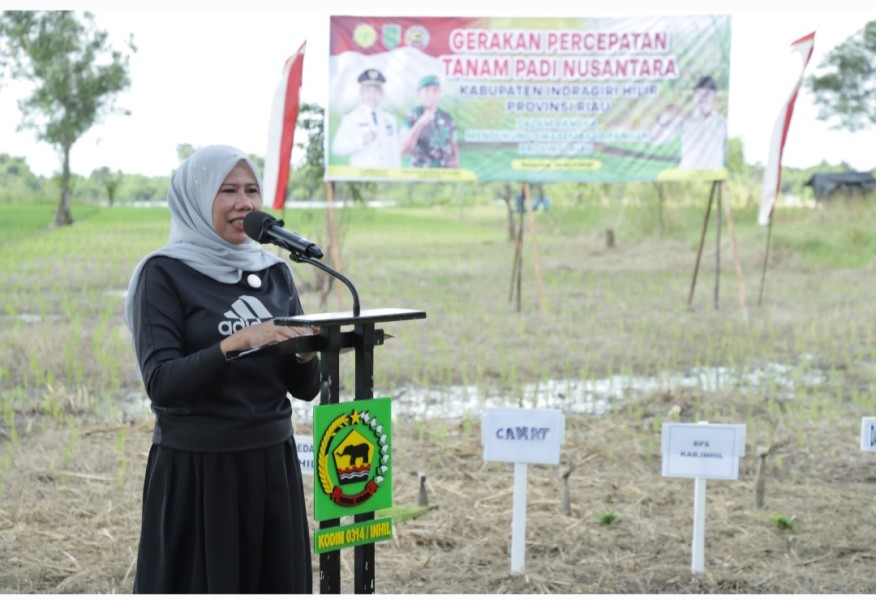 Pemkab Inhil Targetkan 63.494 Ha Luas Tanam Padi, 10.450 Ha Sudah Terealisasi
