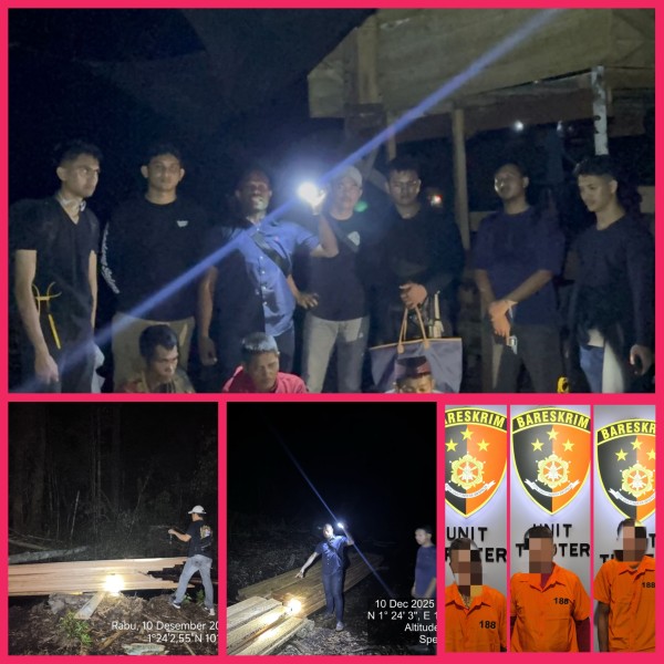 Tim Gabungan Unit Tipidter Reskrim Polres Bengkalis Amankan 3 Pelaku  illegal logging.