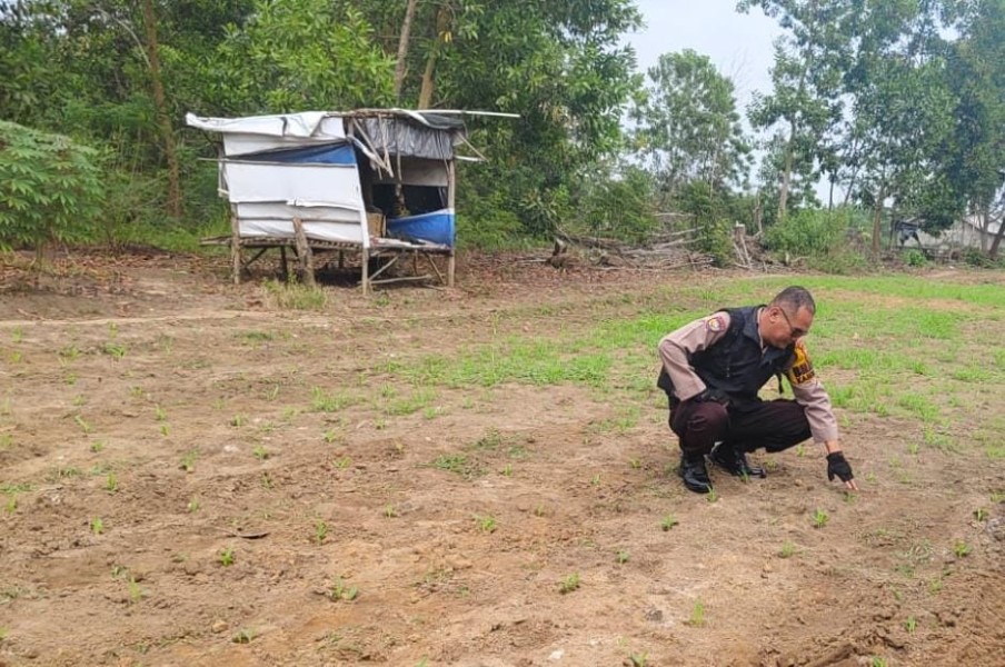 Bhabinkamtibmas Polsek Lirik Tinjau Lahan Jagung 1 Ha, Kendala Utama di Pengairan