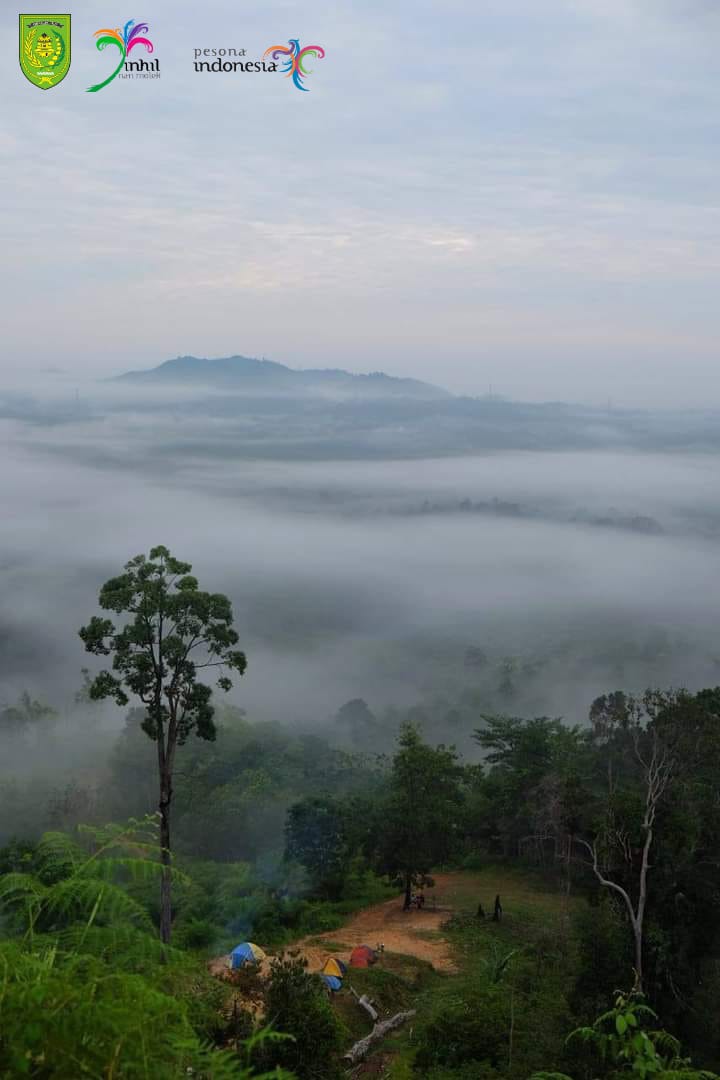 Camping Ground Bukit Condong Selensen, 'Negeri di Atas Awan' di Kabupaten Inhil