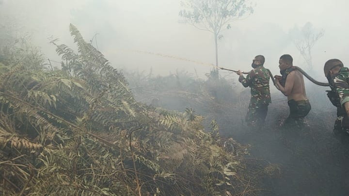 Bertarung Melawan Api dan Asap,Dandim 0314/Inhil Kerahkan Prajurit Tambahan