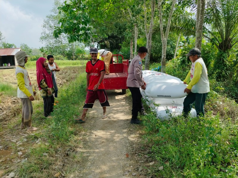 Bhabinkamtibmas Tanjung Sari Pantau Panen Padi, Pastikan P2B Berjalan
