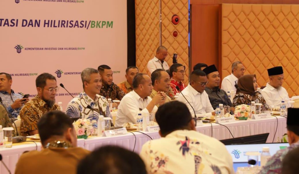 Bupati Inhil Paparkan Potensi Hilirisasi Kelapa di Hadapan Menteri Investasi RI