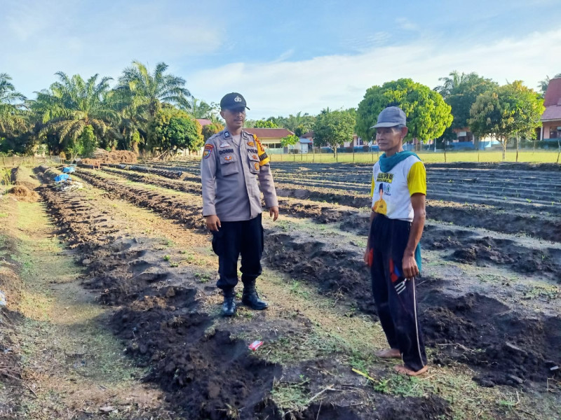 Bhabinkamtibmas Pangkalan Kuras Lakukan Pengecekan Program Ketahanan Pangan di Desa Dundangan