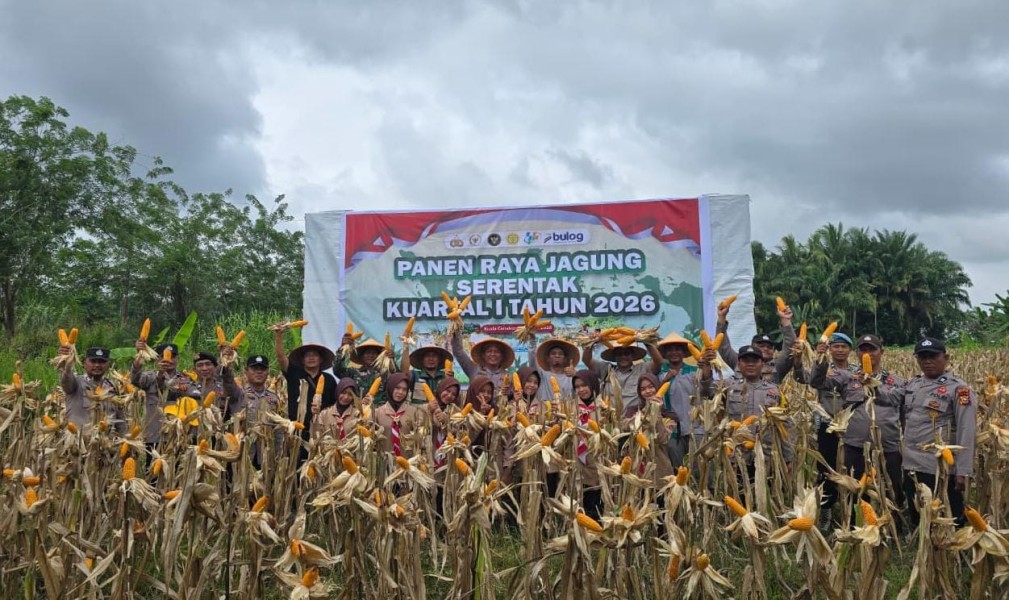Kapolsek Awet Nainggolan Gandeng Siswa SMAN 01 Kuala Cenaku Panen Raya Jagung Serentak Kuartal I Tahun 2026