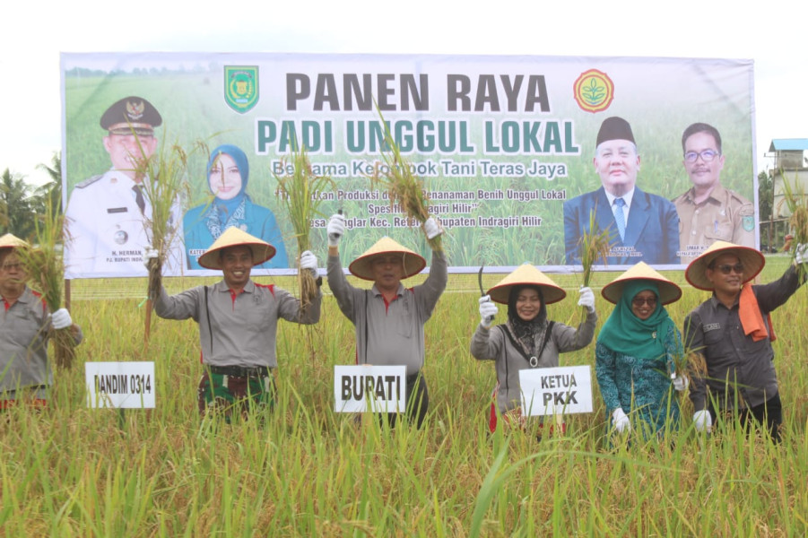 Dukung Ketahanan Pangan, Dandim 0314/Inhil Hadiri Panen Raya Padi Unggul